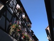 clara_103