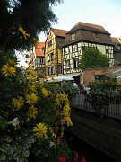 clara_157