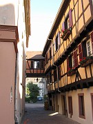 lauranne_t_060