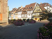 sophie_038