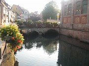 sophie_042