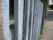 charlotte_233
