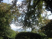 eva_412