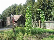 lucille_186