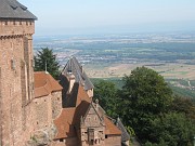 lucille_148