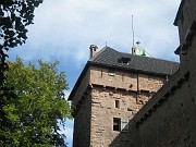 lucille_167