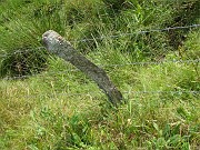 aude_s__035