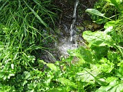 benedicte_027