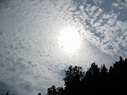charlotte_084