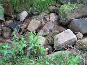charlotte_102