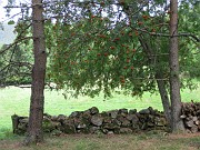 charlotte_110