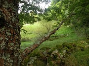 clara_011