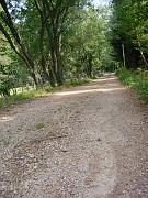 julie_011