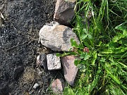 lauranne_t_037