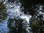 mariana_s__006