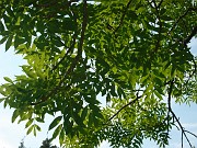 mariana_s__011