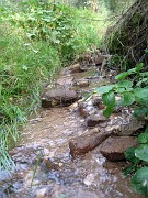 tatianac_008