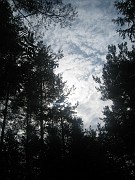 tatianac_045
