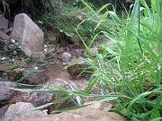 tatianac_046