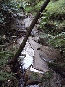 timothee_022