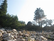 Eva_061