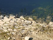 aude_s_154