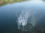 charlotte_054