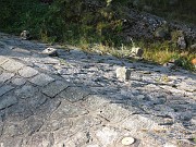 charlotte_063