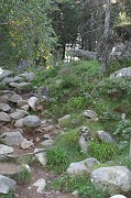 elise_b__079