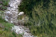 elise_b__084