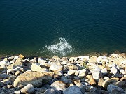 jonathan__034