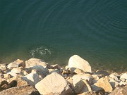 julie_036