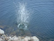 julie_041