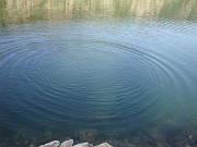 lea_059