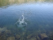 lea_065