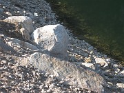 lucille_042