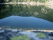 sophie_091