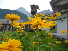 Alexane_015
