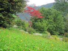 Celia_043