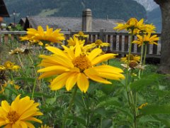 Guillaume_020