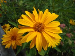 Julien_041