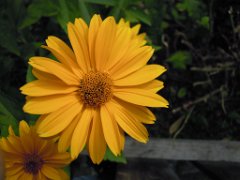 Malou_009