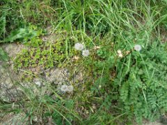 Marie_k_007