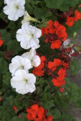 Marilou_arw_05