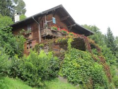 Martin_012