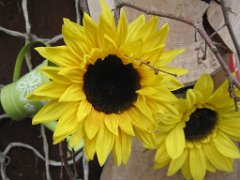 Martin_018