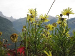 Martin_025