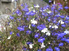 Noemie_044