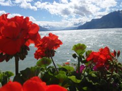 Amandine_165