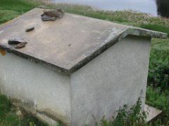 Gael_025